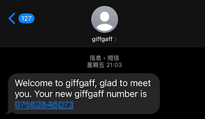 💸 giffgaff的资费